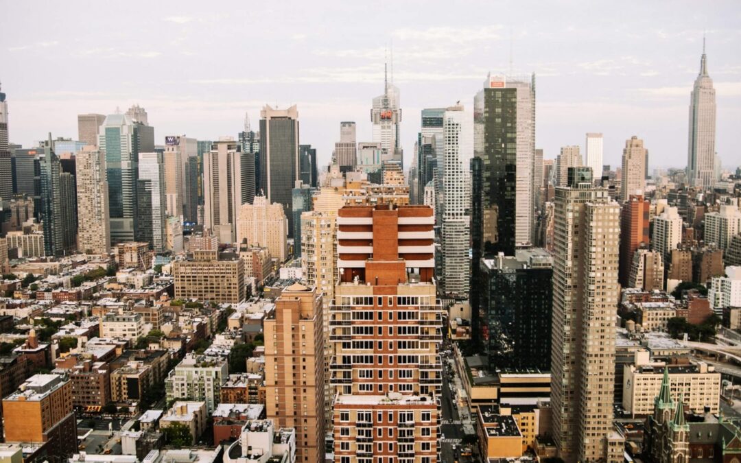 Officia Deserunt Mollit Anim