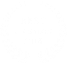 saloon-icon23