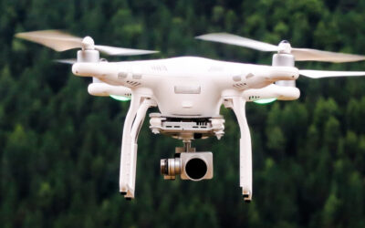 Vestibulum Nisl Felis