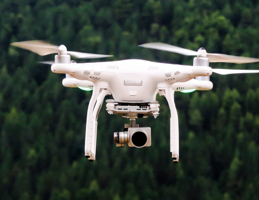 Vestibulum Nisl Felis