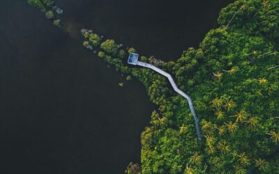 Nunc Volutpat Venenatis