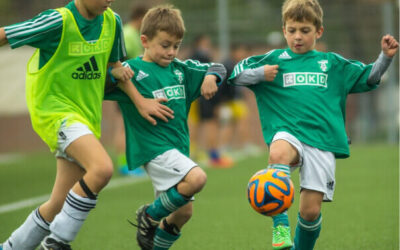 Maecenas Fringilla Augue