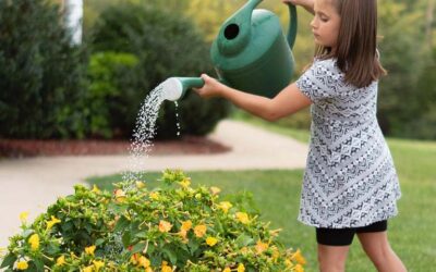 Proin Eu Augue Efficitur