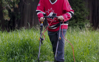 Vestibulum Nisl Felis