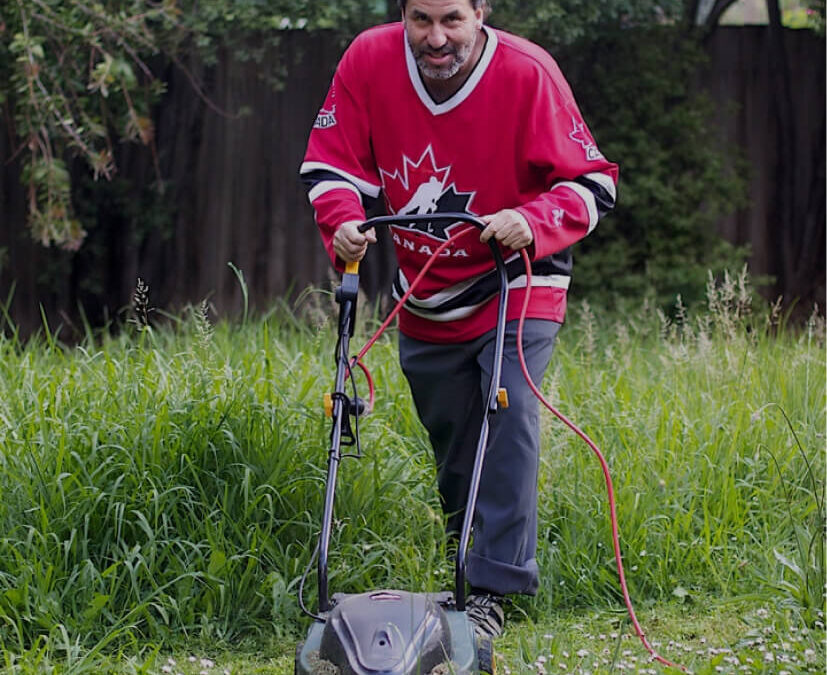 Vestibulum Nisl Felis