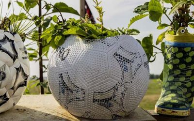 Nunc Volutpat Venenatis