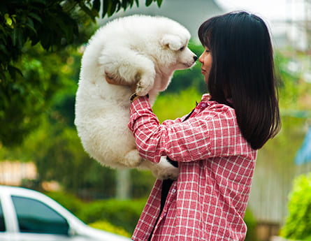How to Properly Switch Your Pet’s Food