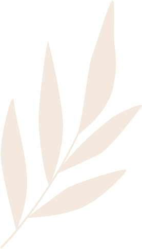 pottery-about-seed