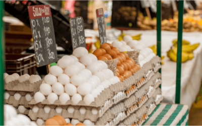 Proin Eu Augue Efficitur