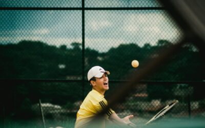 Vestibulum Nisl Felis